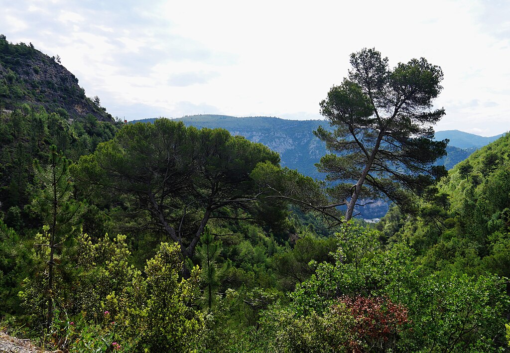 Prix renovation interieure Alpes-Maritimes