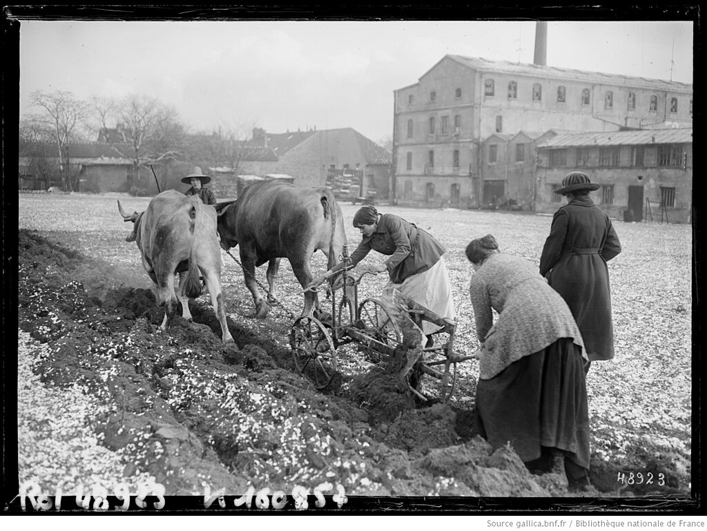 Prix renovation interieure Val-de-Marne