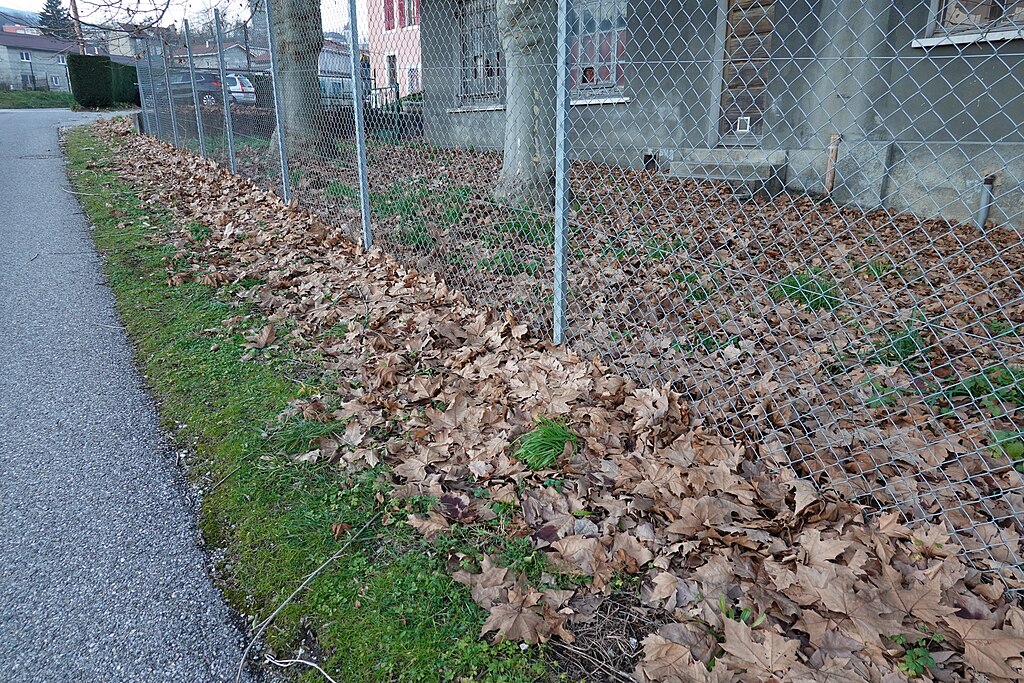 Prix renovation interieure Bellegarde-sur-Valserine