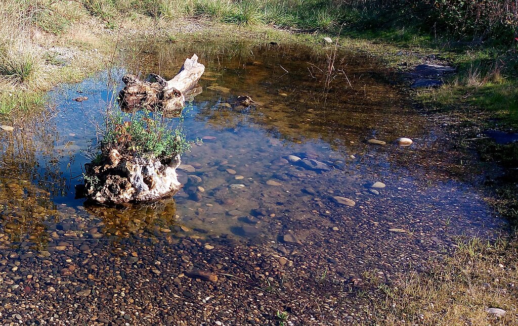 Prix renovation interieure Wittenheim