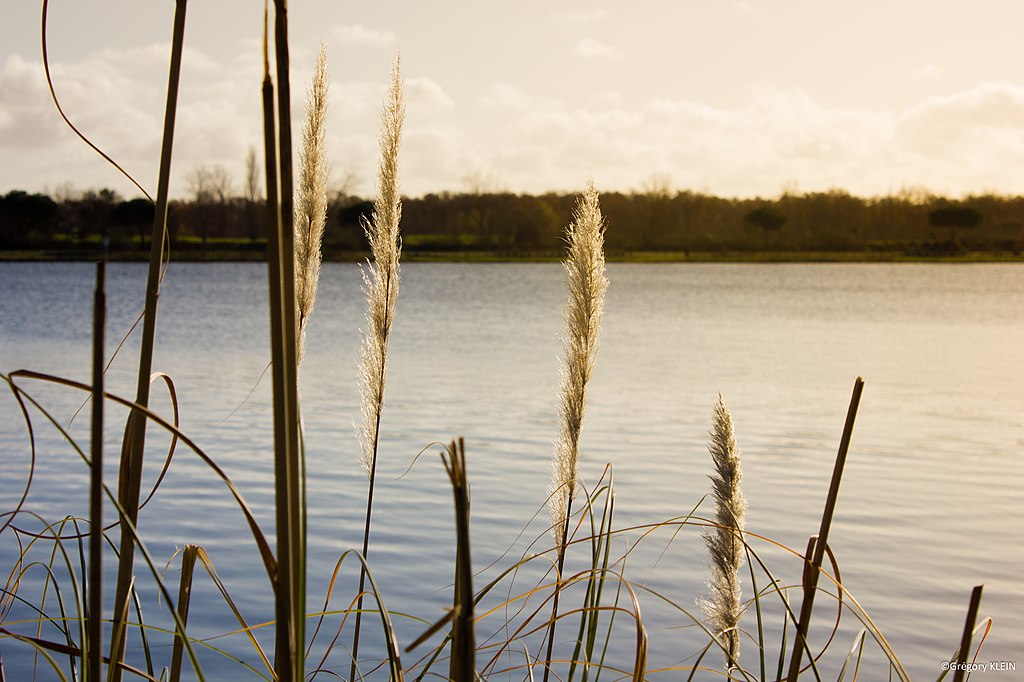 Prix renovation interieure Tournefeuille
