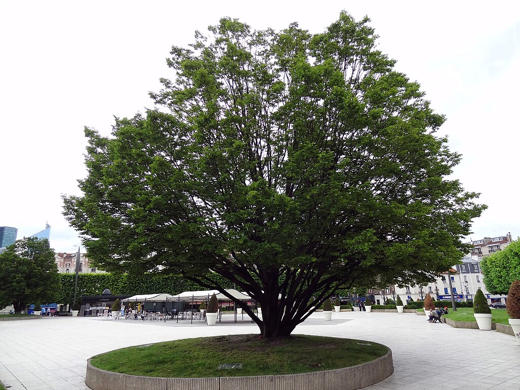 Prix renovation interieure Puteaux