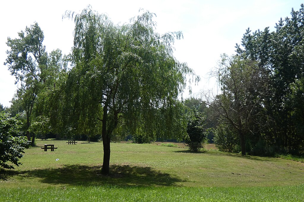 Prix renovation interieure Marmande